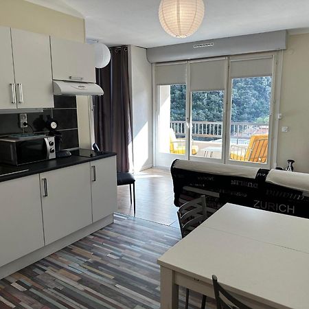 Studio Tout Equipe Amélie-les-Bains-Palalda Eksteriør bilde
