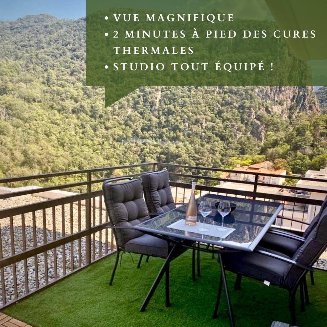 Studio Tout Equipe Amélie-les-Bains-Palalda Eksteriør bilde